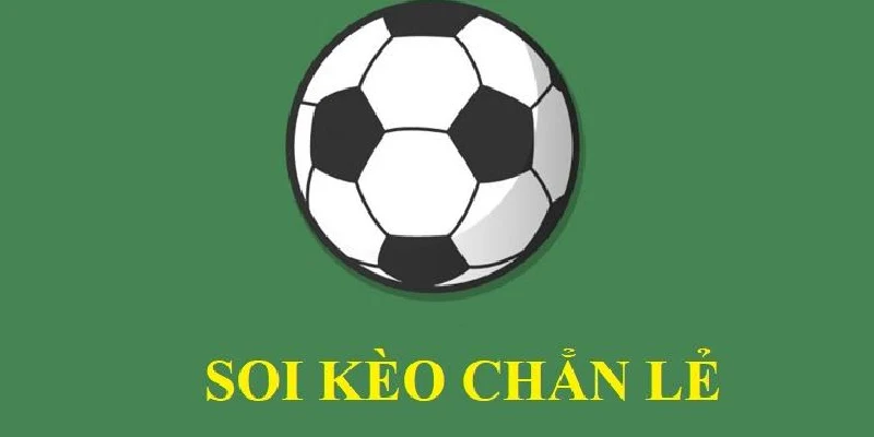 Các bước soi kèo đúng chuẩn đạt hiệu quả cao