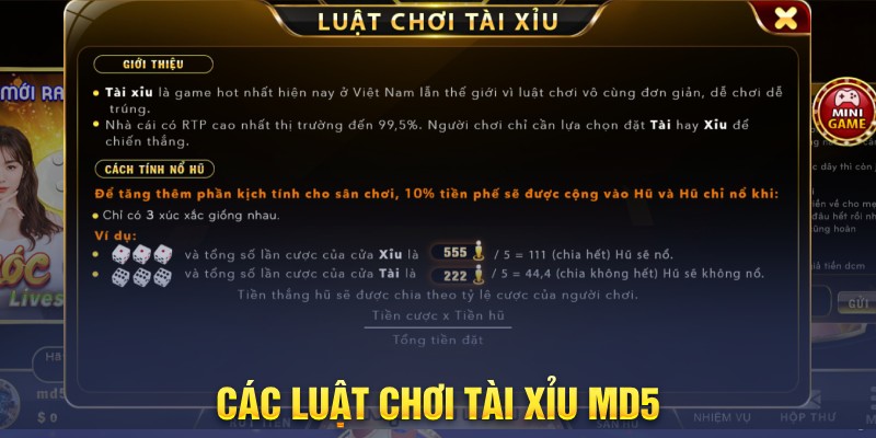 Các luật chơi tài xỉu md5