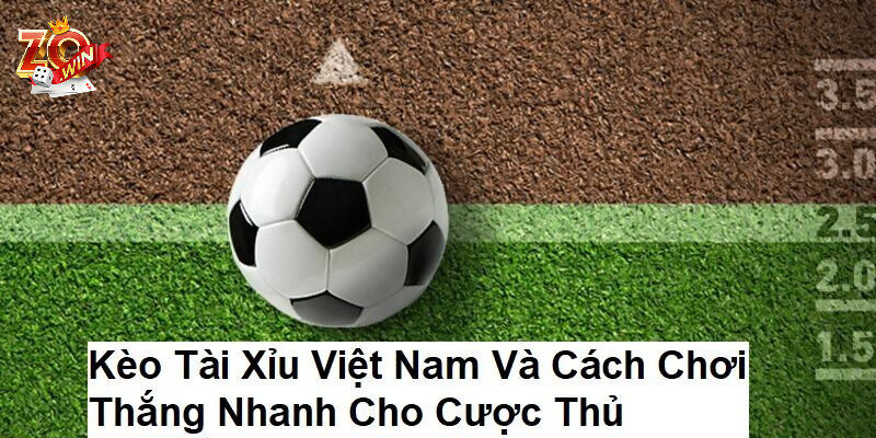 Thông tin về hình thức Kèo Tài Xỉu Việt Nam