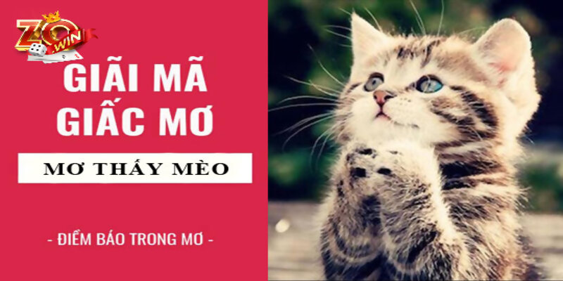 Giấc mơ thấy mèo muốn nhắn gửi những điềm báo gì?