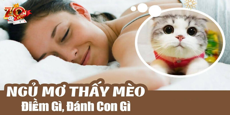 Mơ thấy chú mèo con